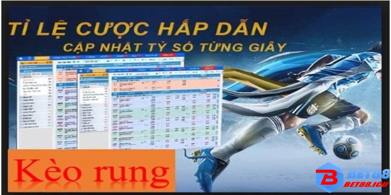 Những kèo rung là gì?